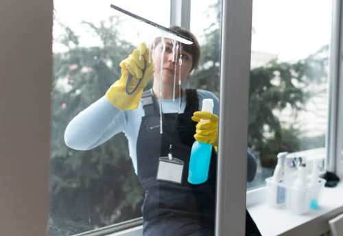 Nettoyage de vitres intérieures et extérieures à Saint-Martin-de-Bienfaite-la-Cressonnière